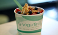 DD - Yogurtini thumb