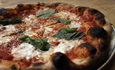 panebianco_thumb