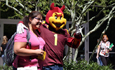 SpiritCommittee_thumb